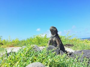10 DIY Adventures To Have In San Cristobal Galapagos