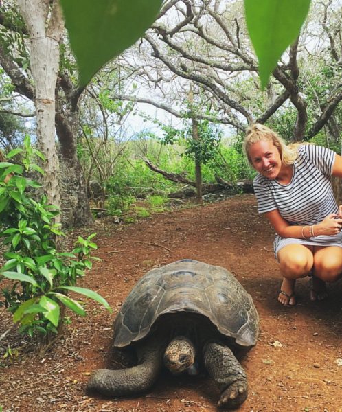 Things to do in San Cristobal Galapagos - Tortoise