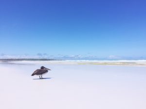 How I Backpacked The Galapagos For Less Than $26 A Day
