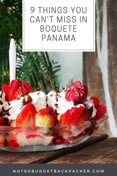 Things to do in Boquete Panama - pin