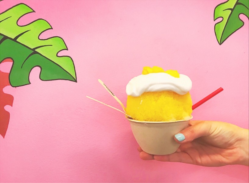 Places to go in Portland Oregon - Shaved Ice