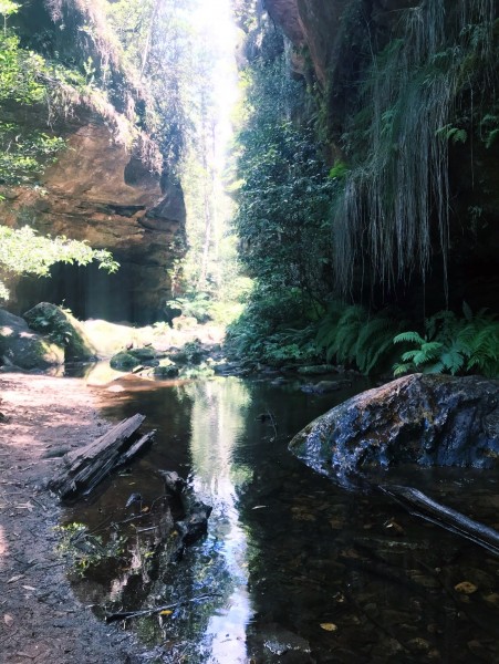 Things to do in the Blue Mountains - Grand Canyon Loop