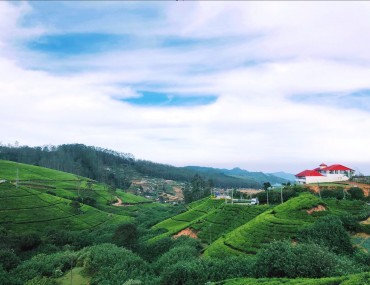 Five Fabulous Things to do in Nuwara Eliya