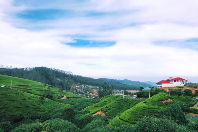 Things to do in Nuwara Eliya - Scrimpsplurgetravel